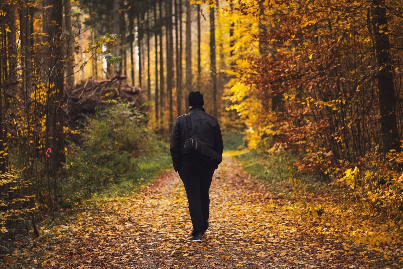 Person promenerar på en lövtäckt skogsstig i höstljus